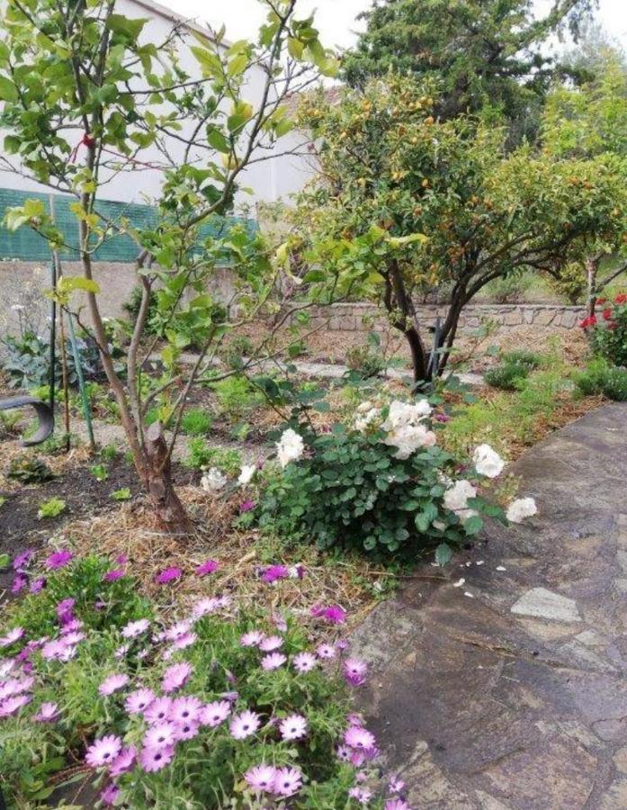 Casa Rossa Solenzara Apartman Sari-Solenzara Kültér fotó